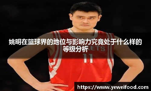 姚明在篮球界的地位与影响力究竟处于什么样的等级分析