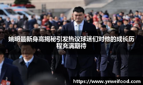 姚明最新身高揭秘引发热议球迷们对他的成长历程充满期待