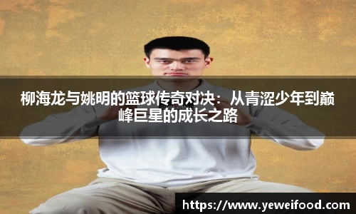 jn江南·体育登录入口