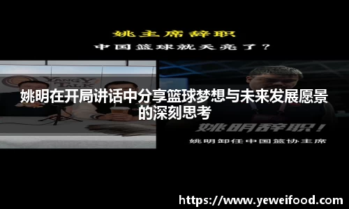 JN体育
