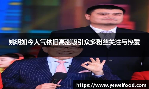 JN体育
