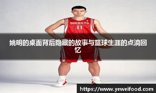 JN体育