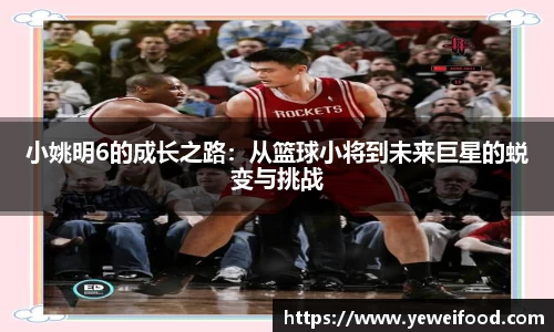 jn江南·体育登录入口