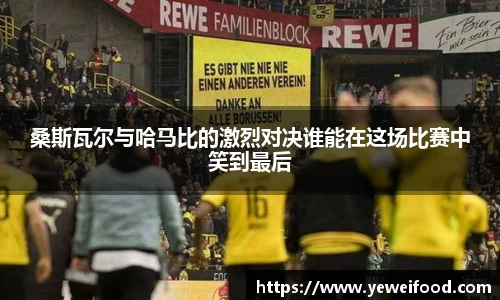 桑斯瓦尔与哈马比的激烈对决谁能在这场比赛中笑到最后